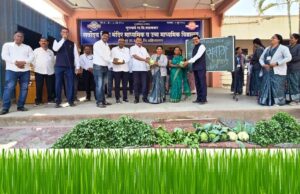 शालेय परसबाग: भाजीपाला प्रदर्शन व वितरण
