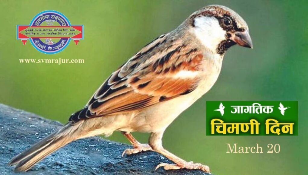 २० मार्च: जागतिक चिमणी दिन