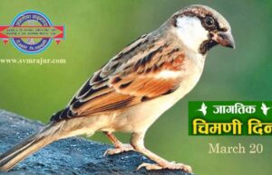 २० मार्च: जागतिक चिमणी दिन