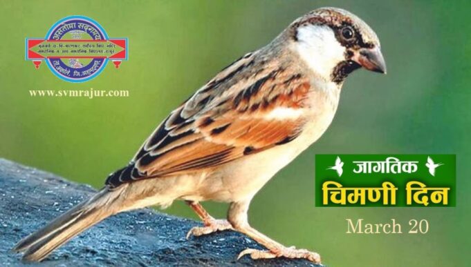 svm rajur-world sparrow day